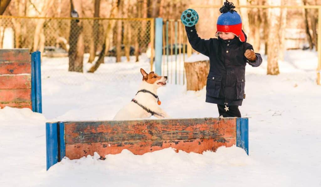 Benefits of OffLeash Training