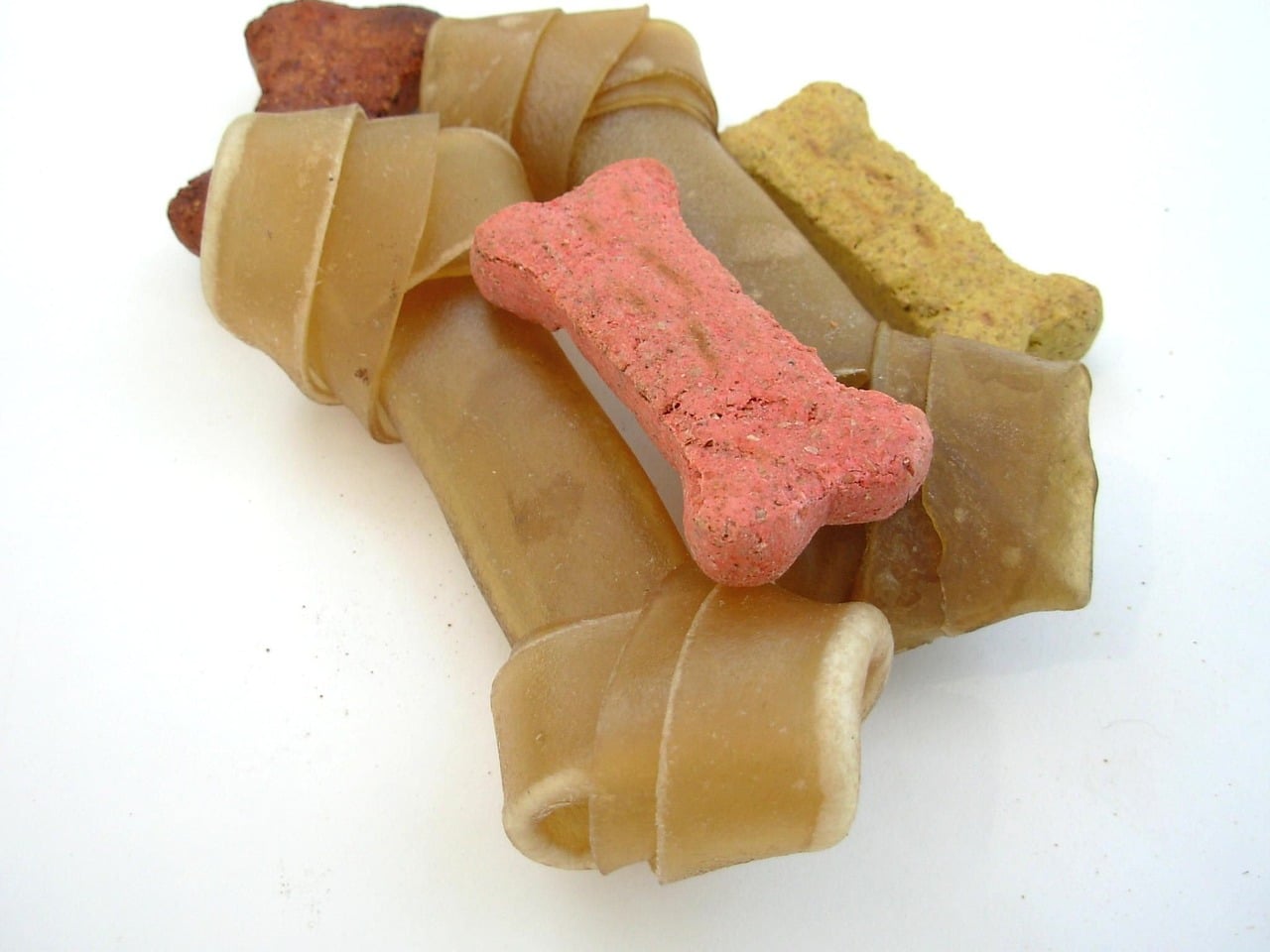 Buy Dental Chew Toys for Dogs Online