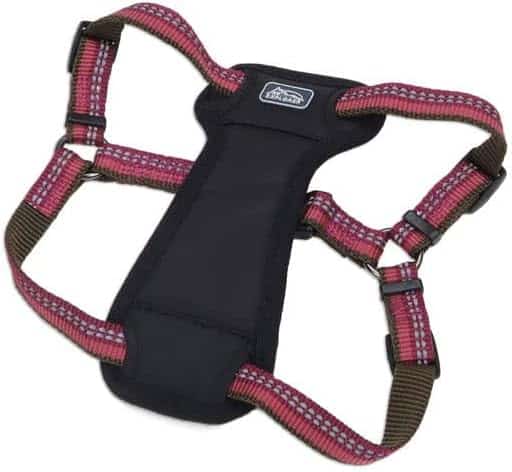 Coastal Pet K9 Explorer Reflective Adjustable Padded Dog Harness - Plush Chest Pad for Comfort - No-Pull Dog Harness for Small and Large Dogs - Berry - 1 x 20-30