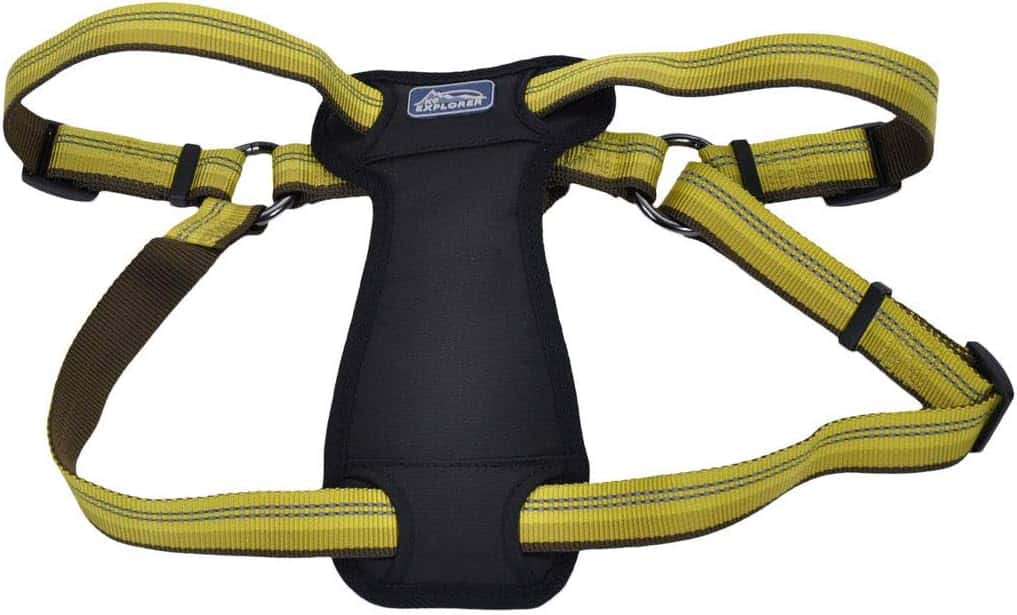 Coastal Pet K9 Explorer Reflective Adjustable Padded Dog Harness - Plush Chest Pad for Comfort - No-Pull Dog Harness for Small and Large Dogs - Berry - 1 x 20-30