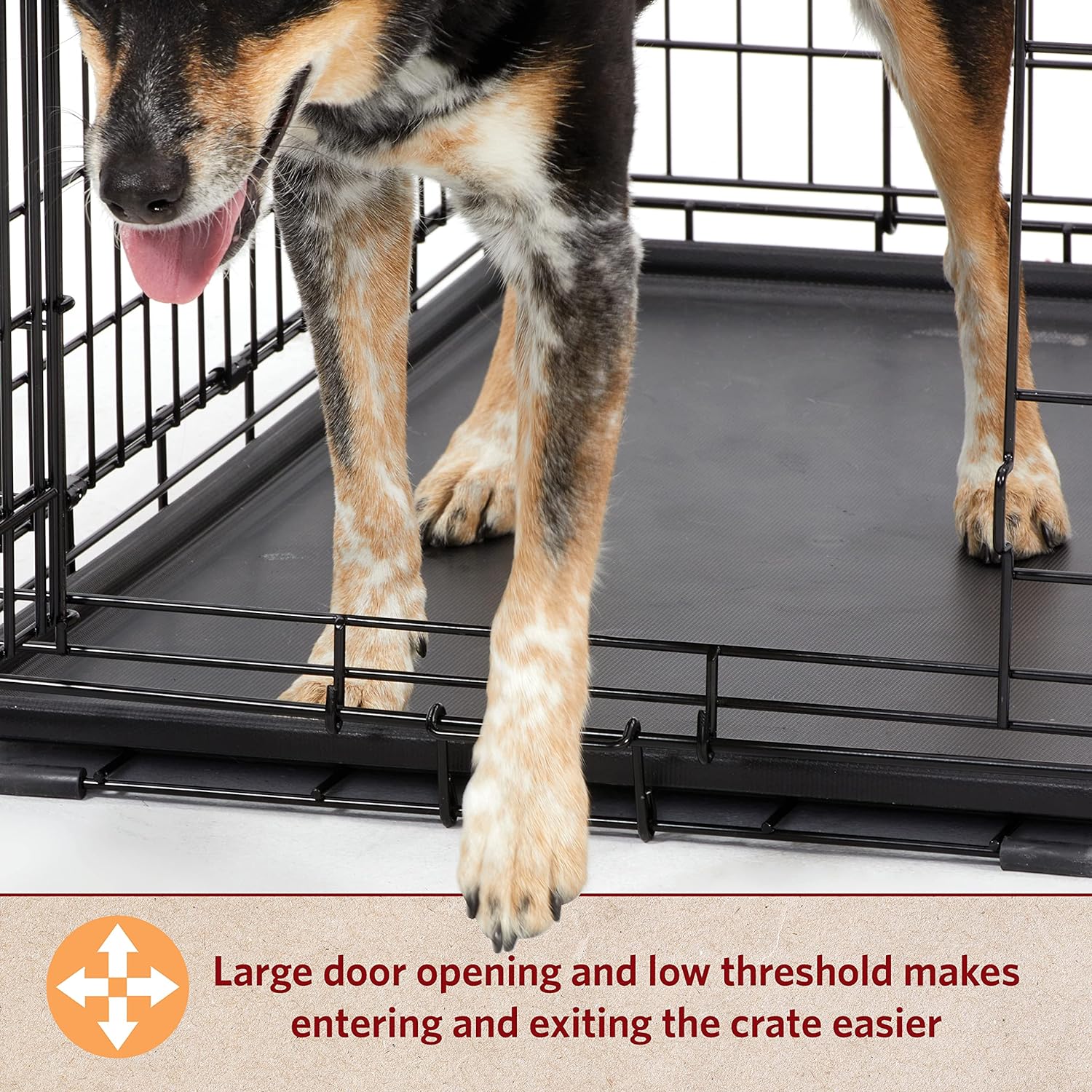 MidWest Homes for Pets Dog Crate Life Stages 36 Double Door Folding Metal Dog Crate | Divider Panel, Floor Protecting Feet, Leak-Proof Dog Pan | 35.63 in x 24.45 in x 21.93 in ,Intermediate Dog Breed