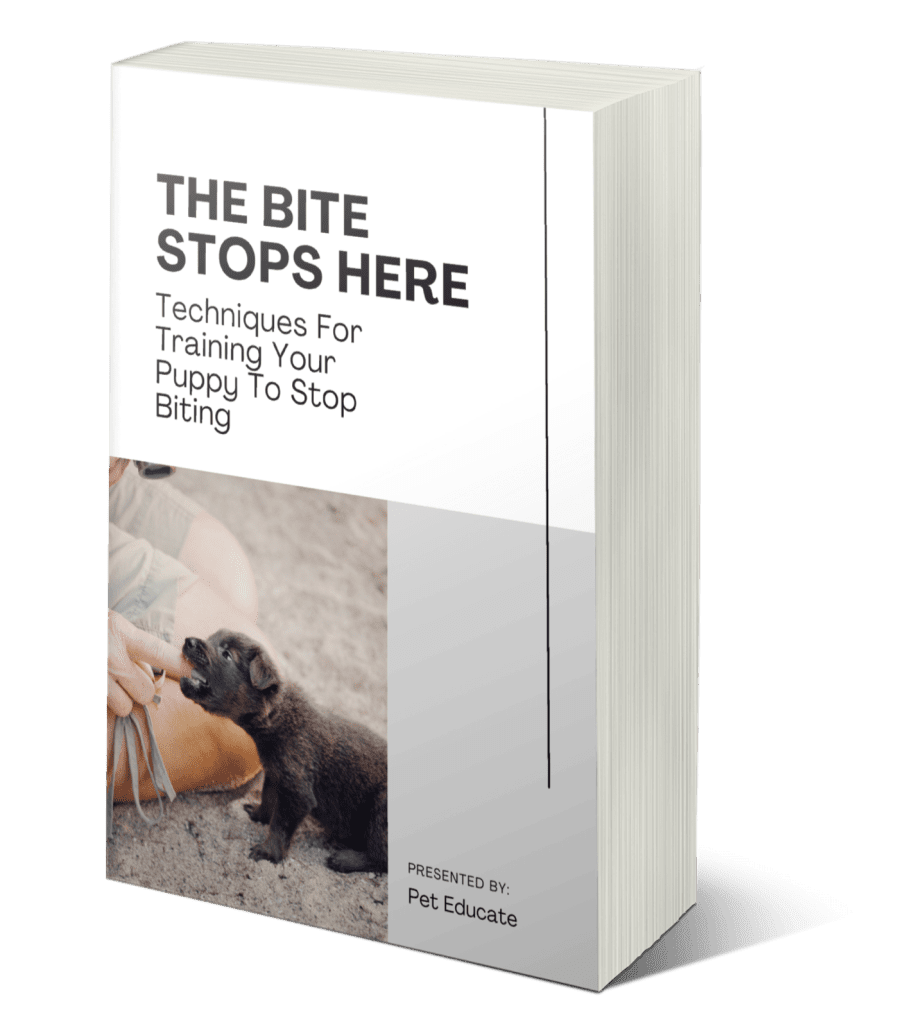 Training Your Goldendoodle Puppy Not To Bite: A Step-by-Step Guide