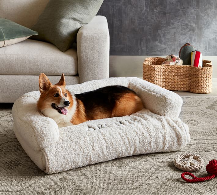 The Best Luxury Dog Beds for Pampered Pooches