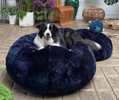 The Best Luxury Dog Beds for Pampered Pooches