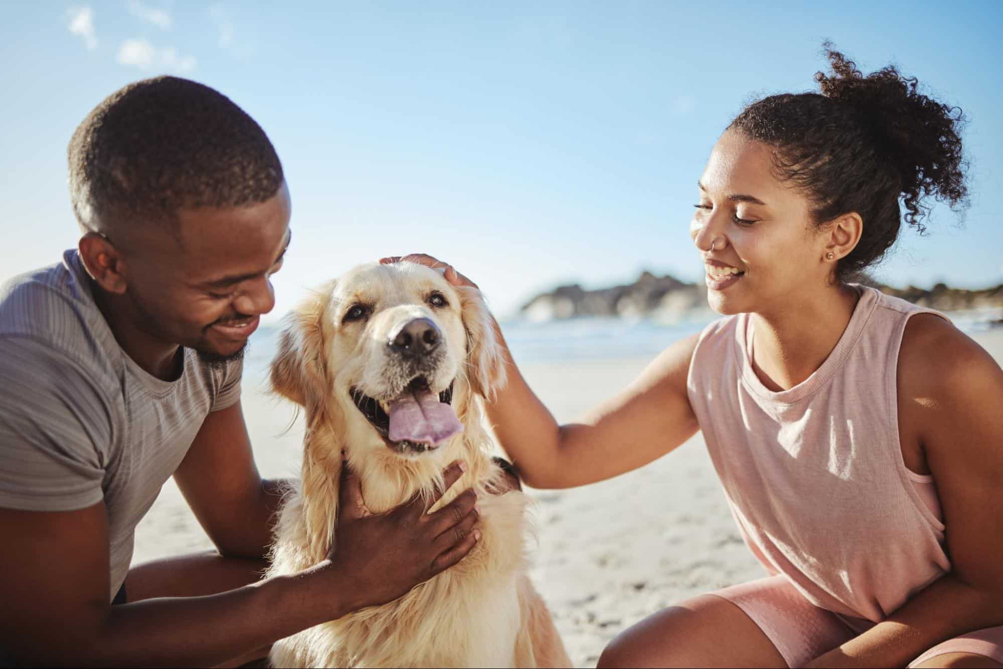 Expressing Love To Your Dog: Tips For Strengthening Your Bond