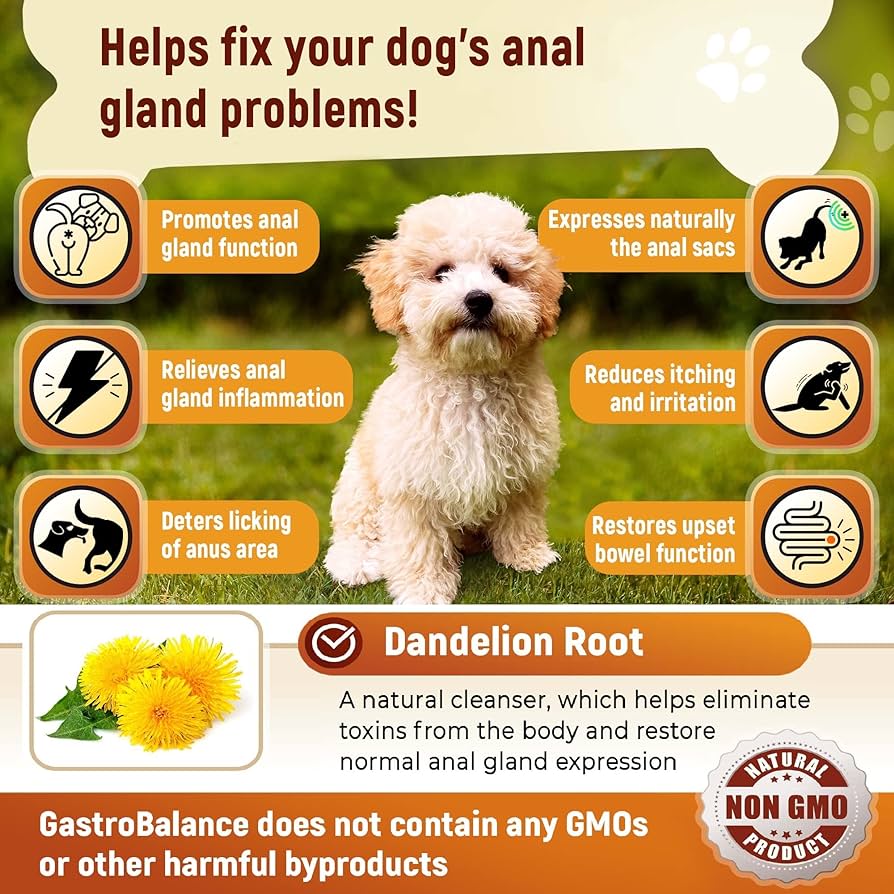 Natural Methods To Alleviate Your Dogs Anal Gland Discomfort