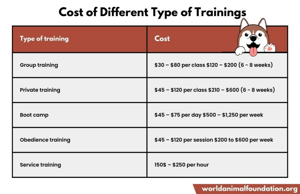 Budgeting For Dog Training And Fostering: What To Expect