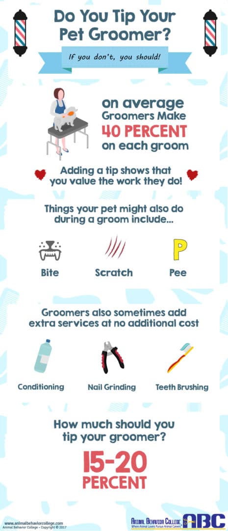 How Much To Tip Your Dog Groomer: Etiquette And Standards